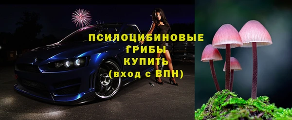 PSILOCYBIN Кинешма