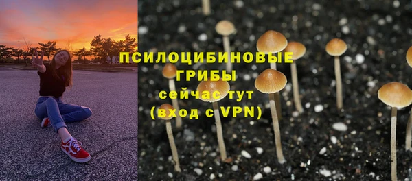 трава Козельск