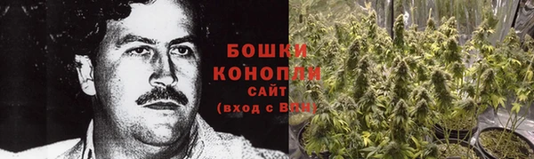 дмт Кодинск