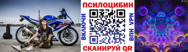Галлюциногенные грибы Psilocybine cubensis  Сосновый Бор 
