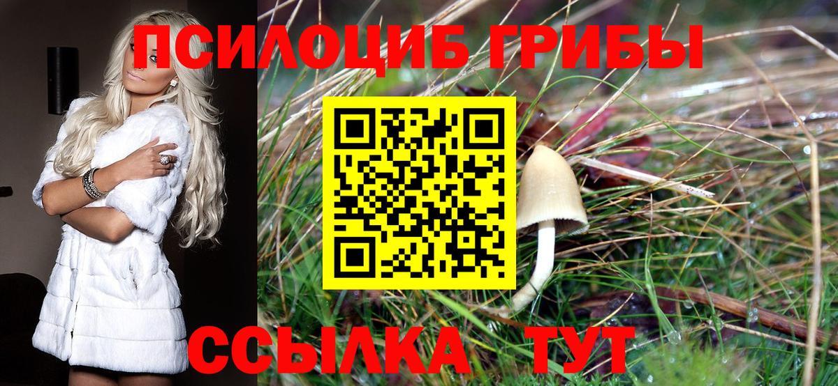 Псилоцибиновые грибы Magic Shrooms  Вход с VPN  купить наркотик  Сосновый Бор 