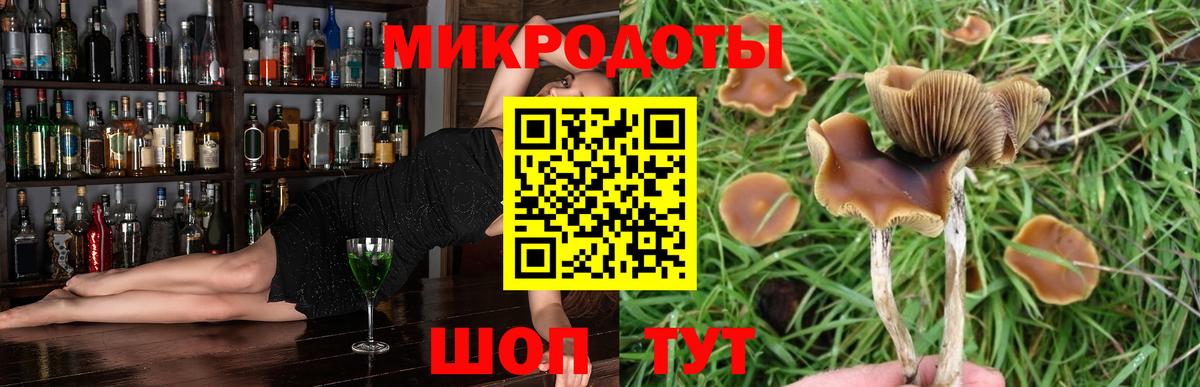 Псилоцибиновые грибы Cubensis  что такое наркотик  Сосновый Бор 