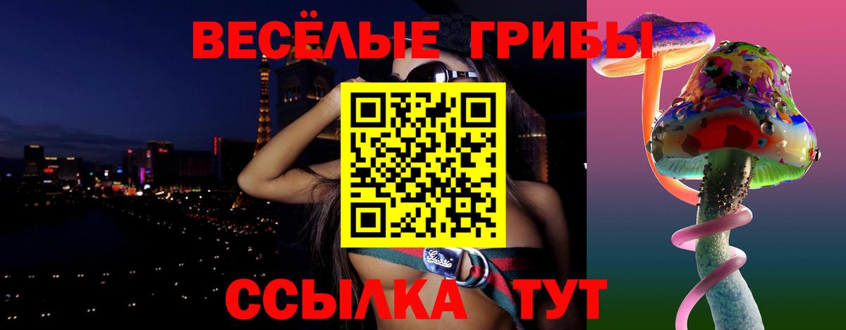 Галлюциногенные грибы Cubensis Сосновый Бор